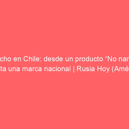 Hecho en Chile: desde un producto “No name” hasta una marca nacional | Rusia Hoy (América Latina)