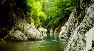 lori-0000596301_top-5195207