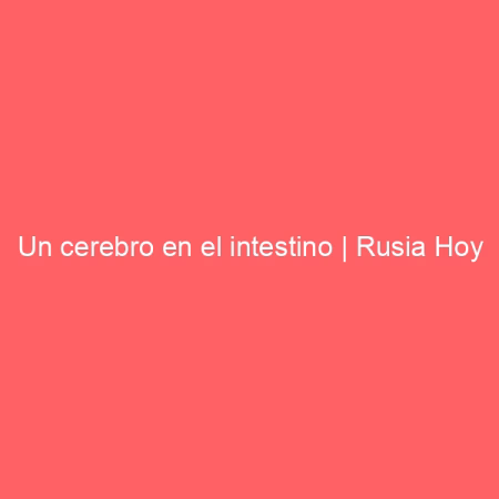 Un cerebro en el intestino | Rusia Hoy